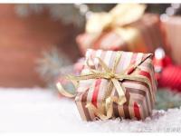 芬兰议会及议会政治